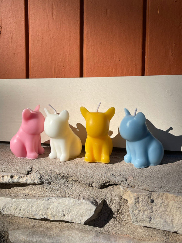 帯付 mini kyute - Sanctuary C&L-021 希少 Short + Snout Mini Candle - Club Huey