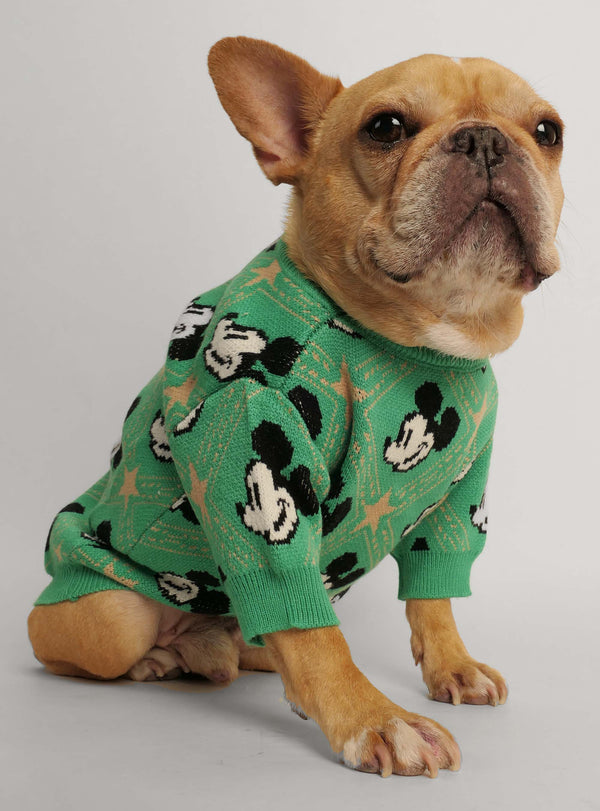 Louie Louie Dog Sweater - Club Huey