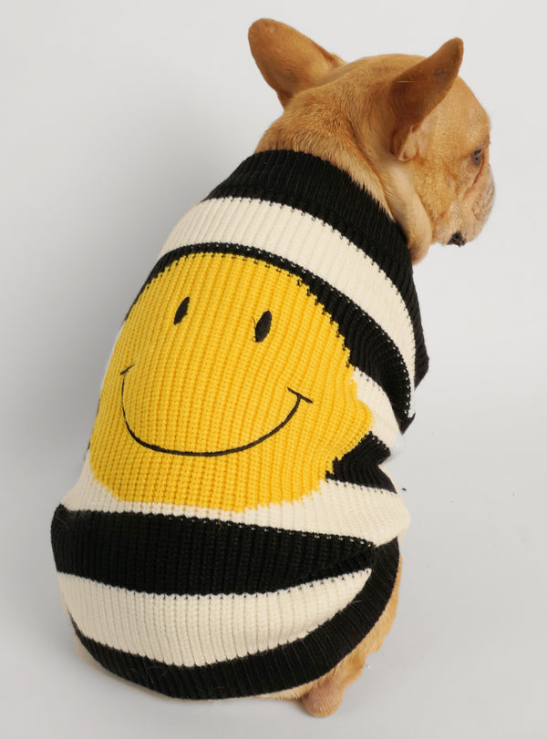 Bee Dog Sweater