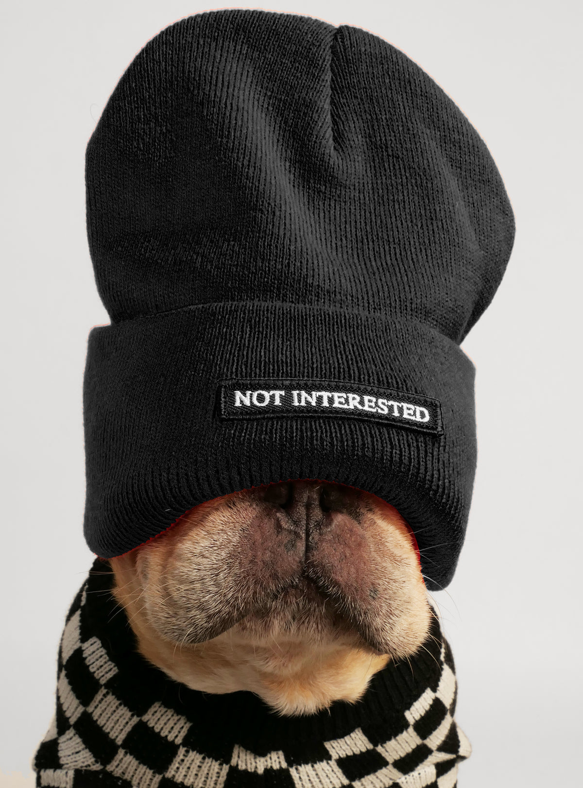 Not Interested Beanie