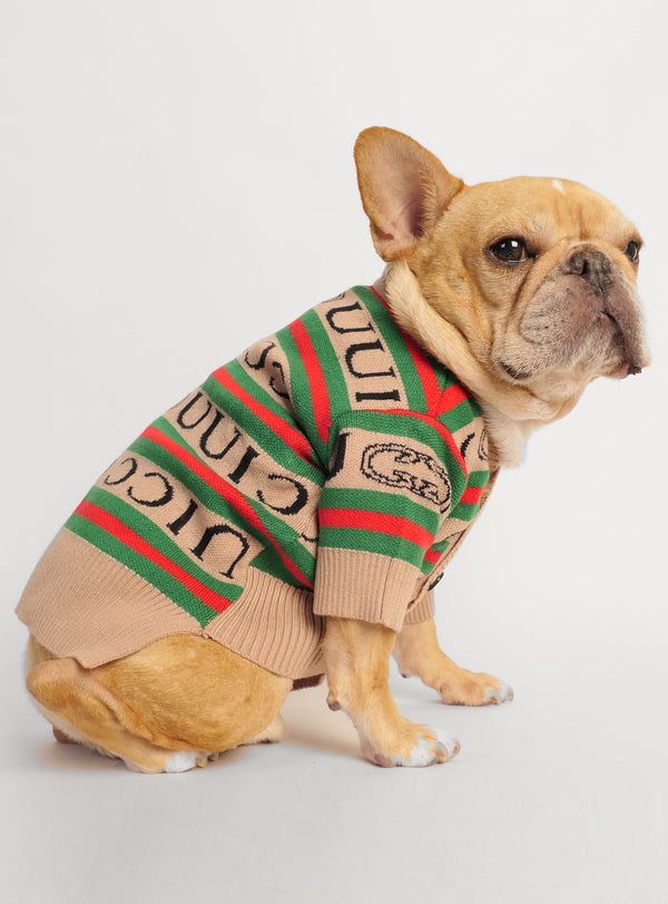 GG Dog Sweater - Club Huey
