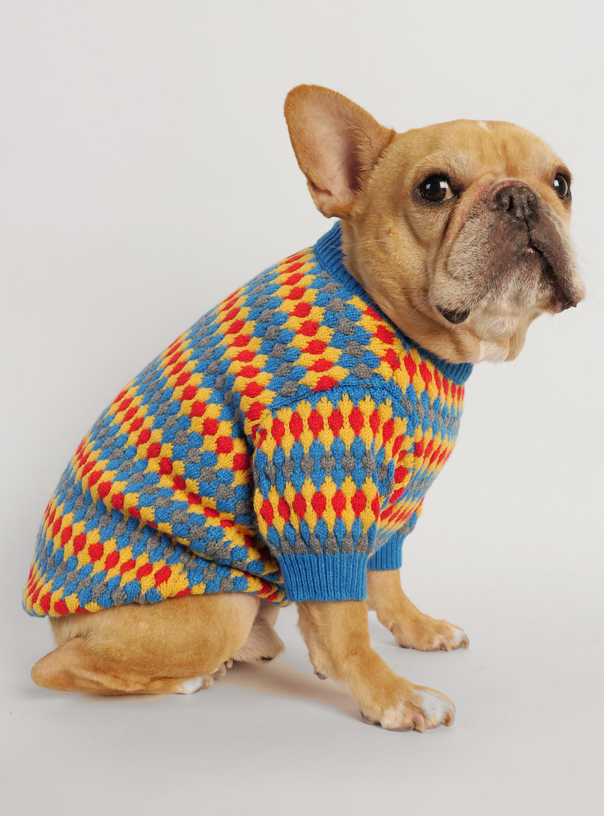 The Freshman Dog Sweater