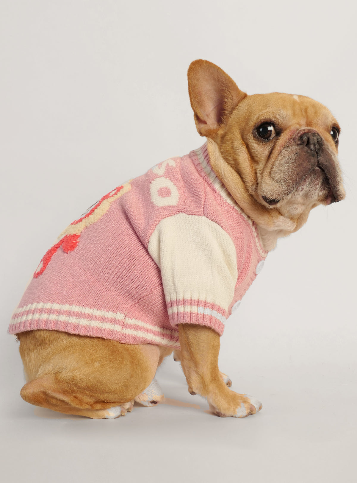 Lotso Toy Story Dog Sweater