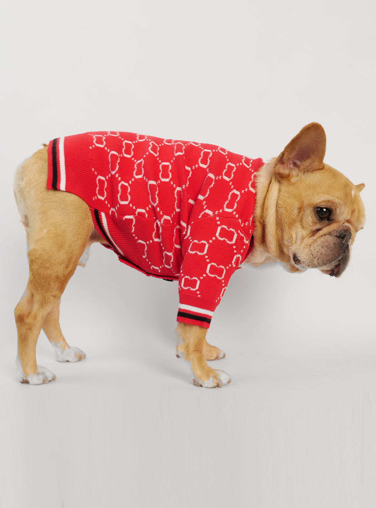 Candy Apple Dog Sweater