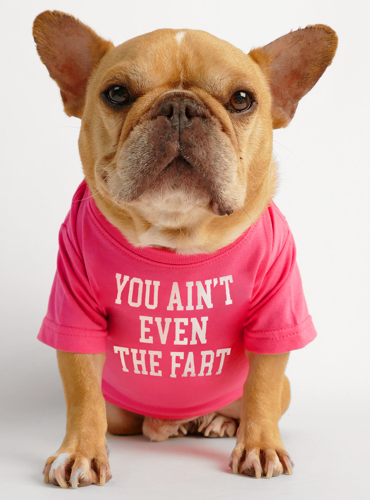 You Ain&#39;t Even The Fart Dog Tee