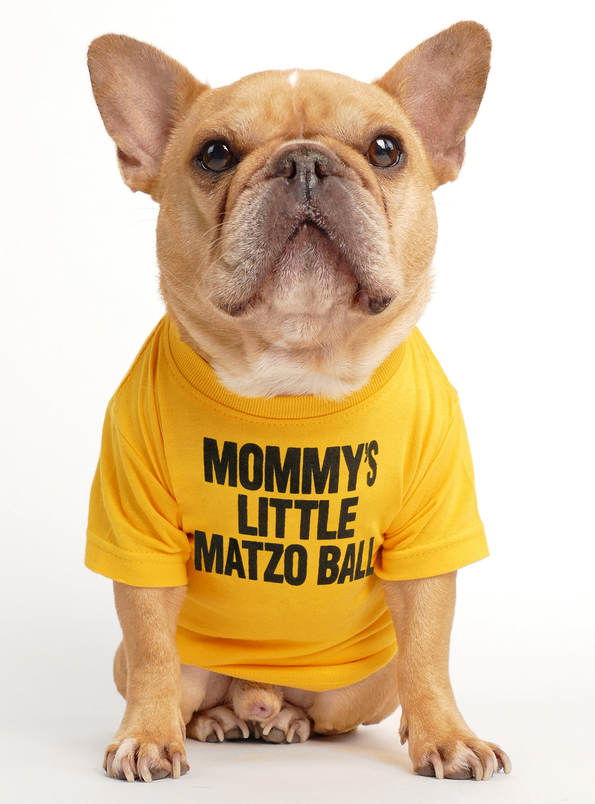 Mommy&#39;s Little Matzo Ball Dog Tee