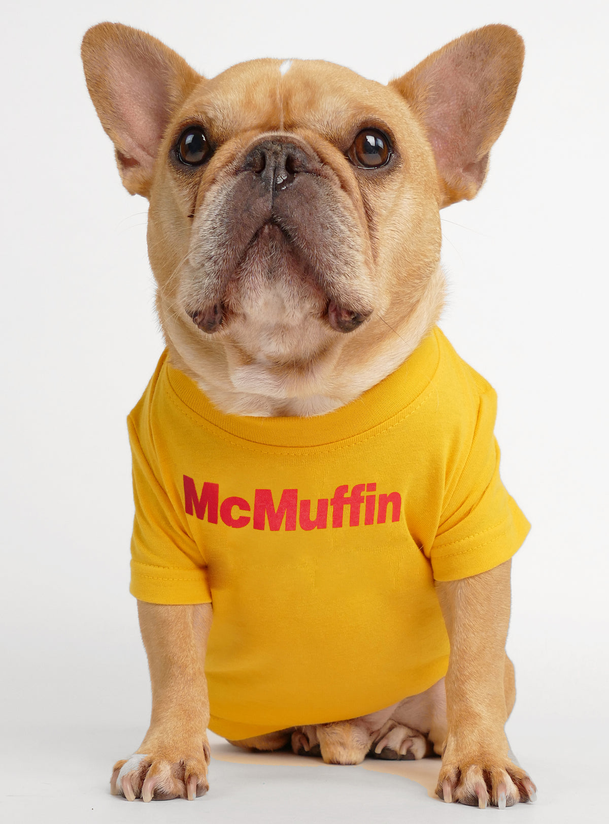 McMuffin Dog Tee