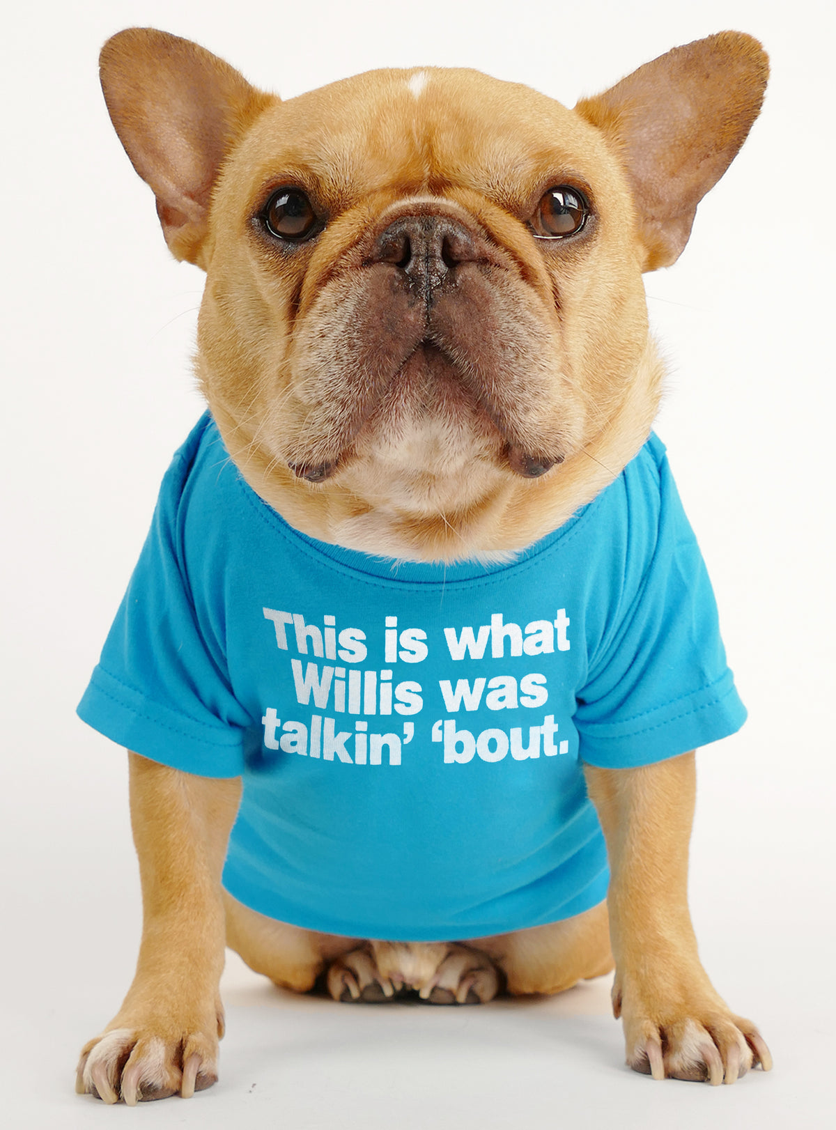 Different Strokes Dog Tee