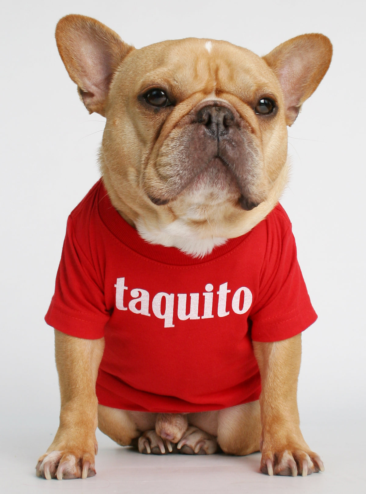 Taquito Dog Tee