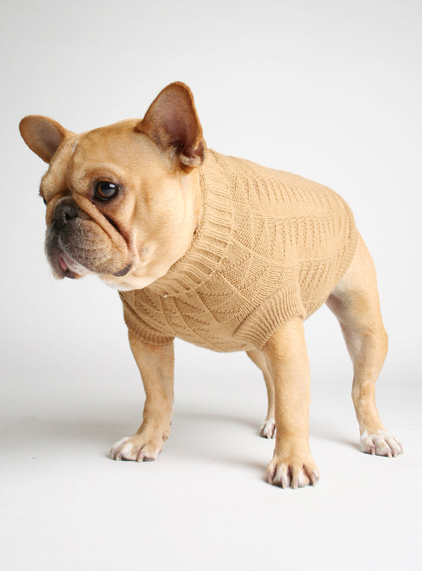 Tot Thot Dog Sweater - Club Huey