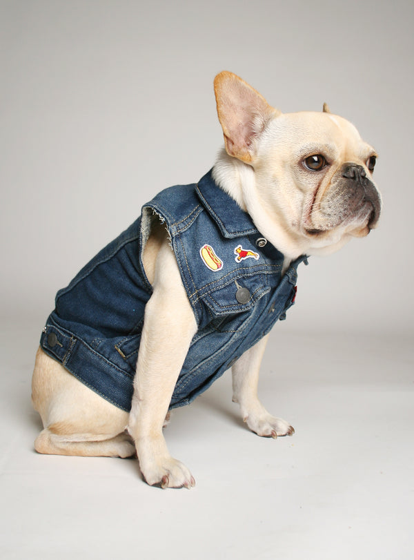 puppy dog denim vest diy
