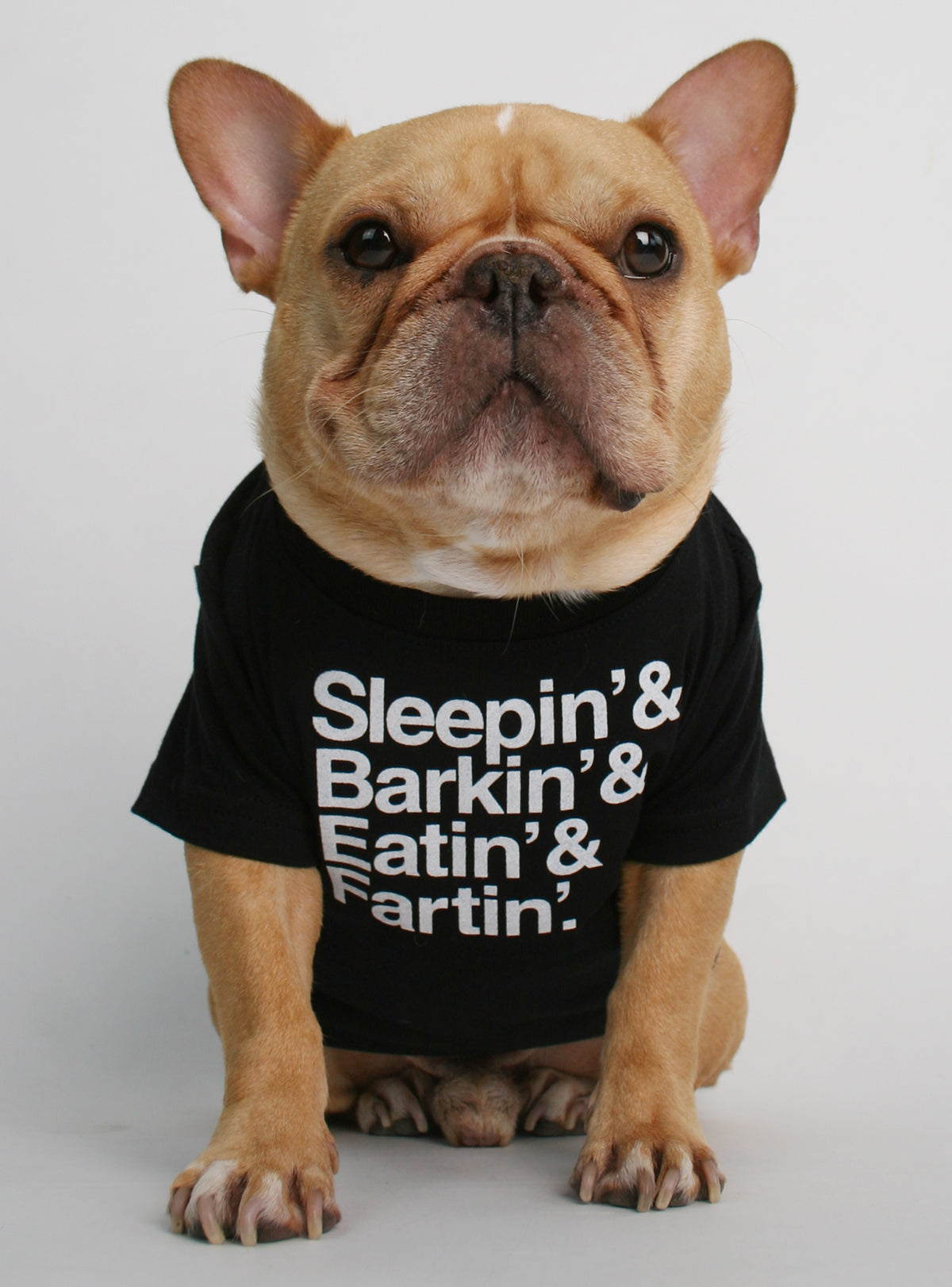 Sleepin&#39; Barkin&#39; Eatin&#39; Fartin&#39; Dog Tee