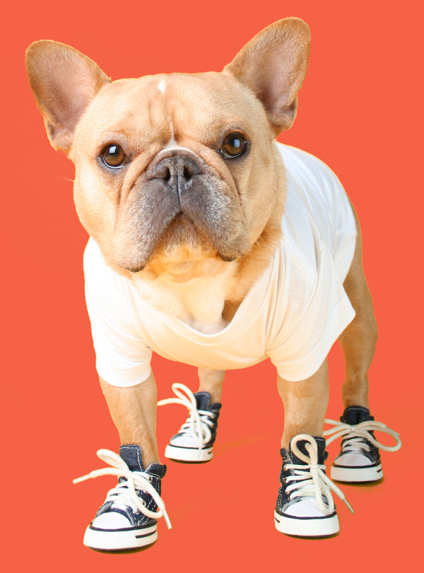 Converse with top dogs on them