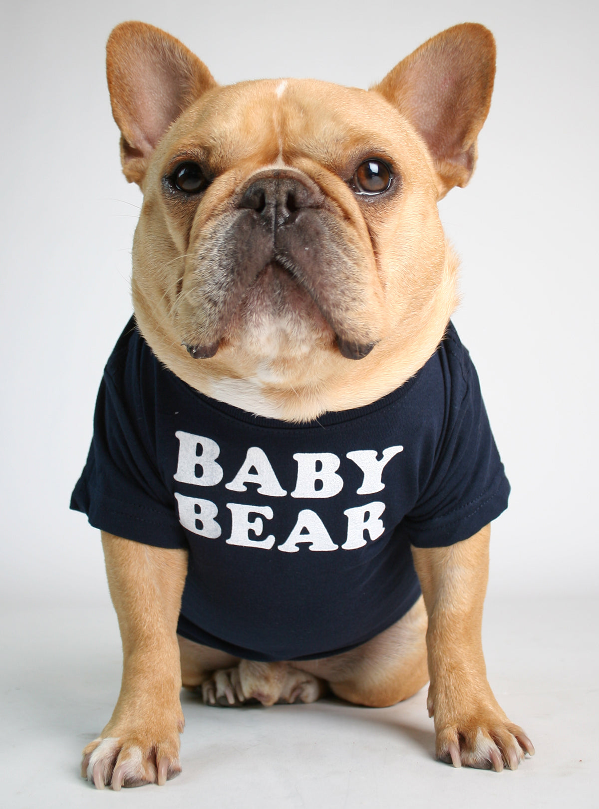 Baby Bear Dog Tee