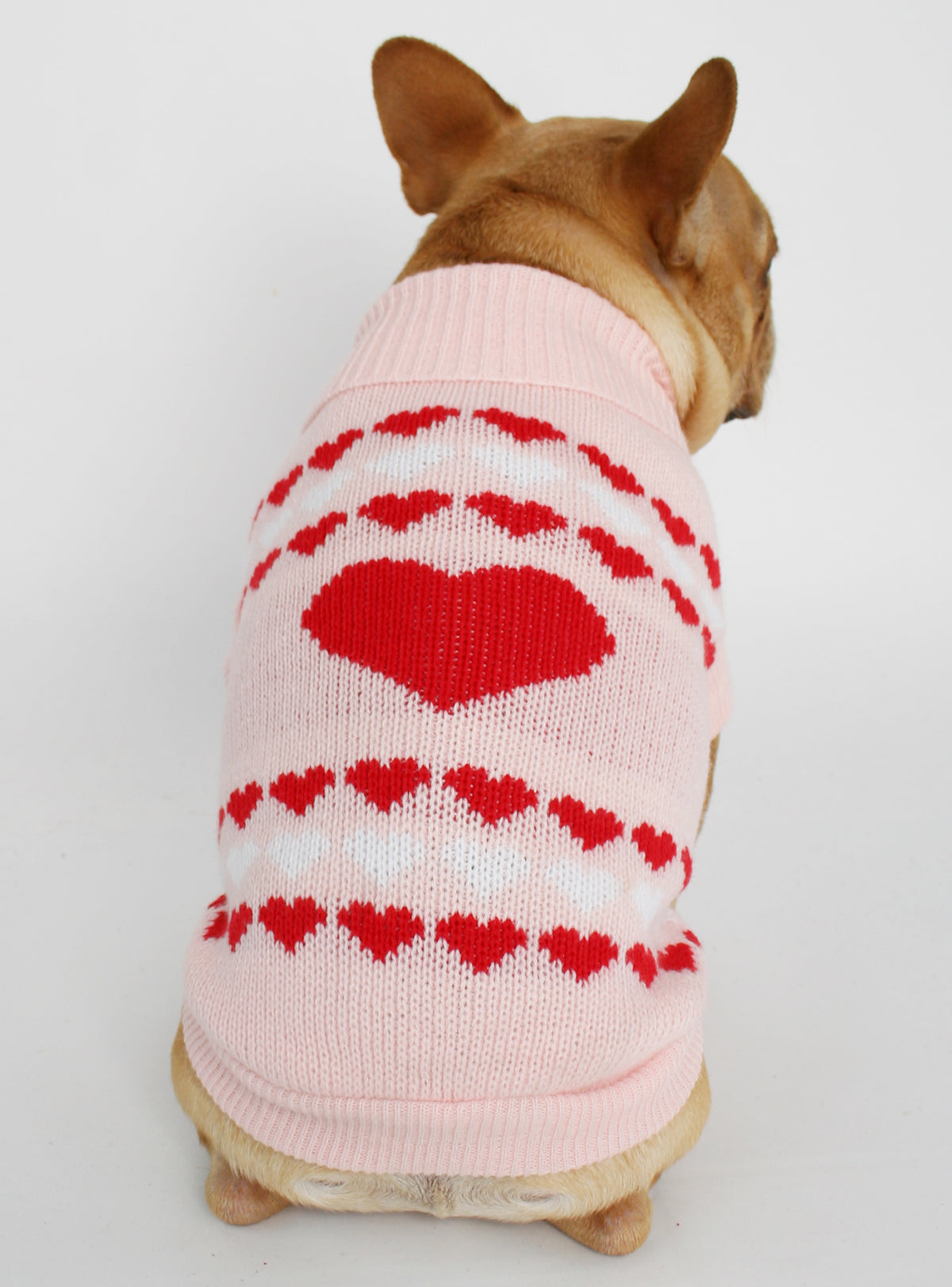 Easy Lover Dog Sweater