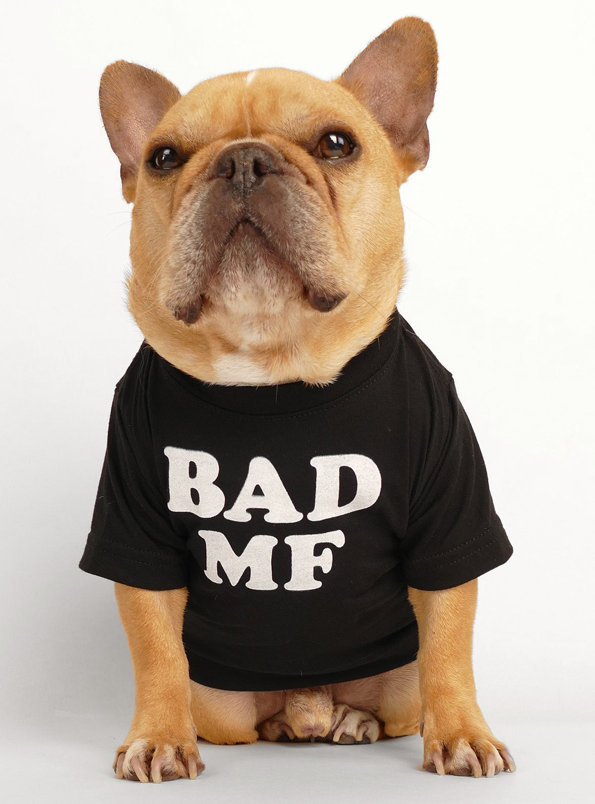 Bad MF Dog Tee