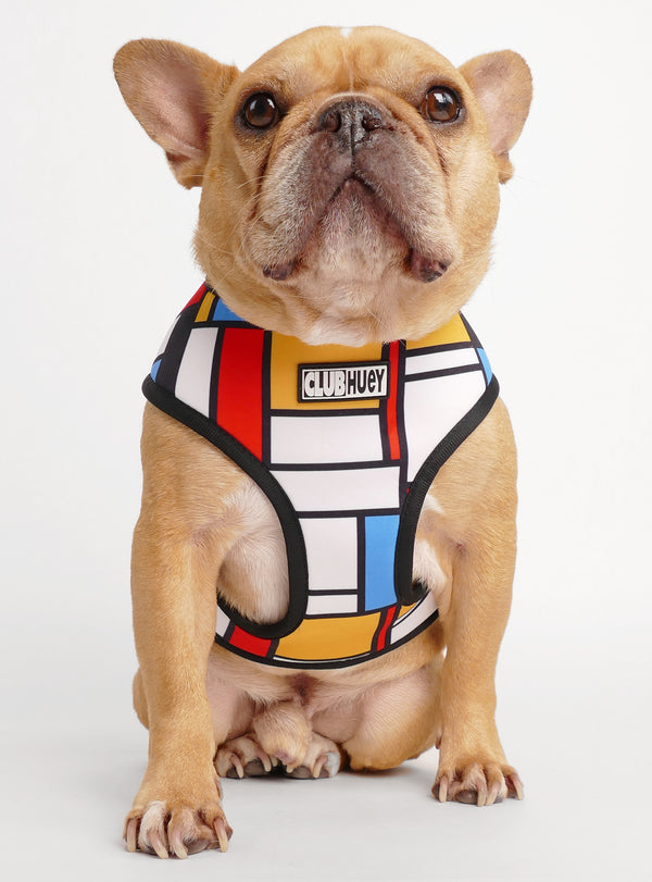 Star Wars R2-D2 Pet Harness