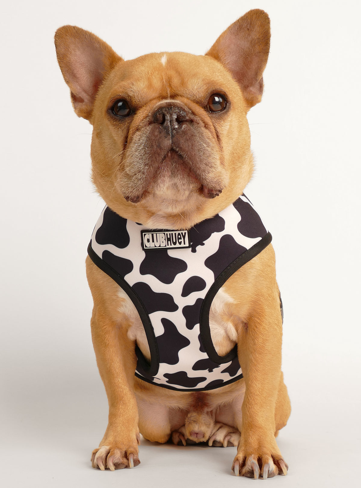 The Cow TV Reversible Harness