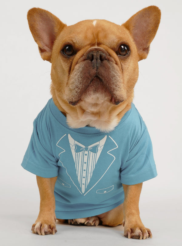 Dog sales with shirt