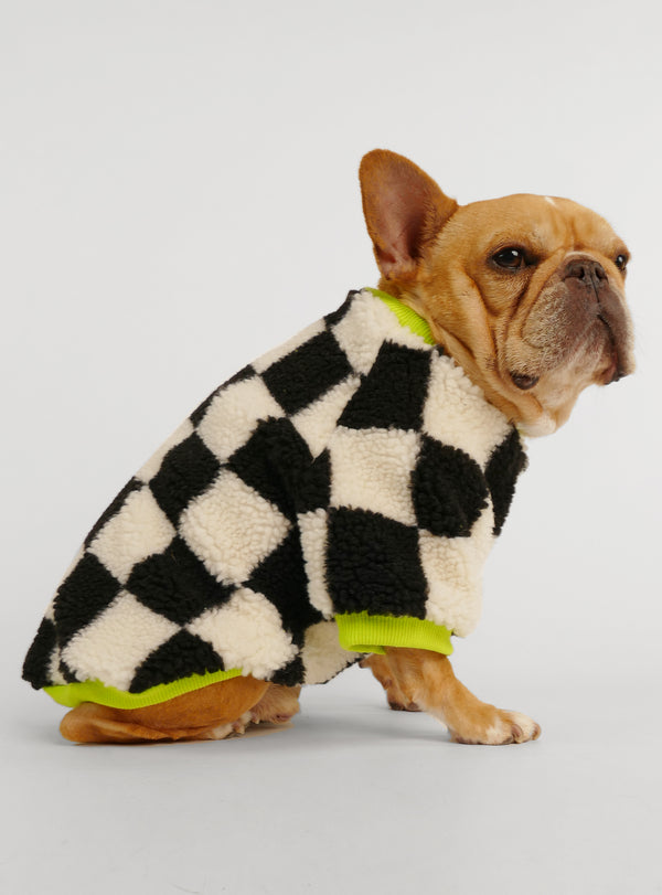 French Fried Dog Sweater - Club Huey