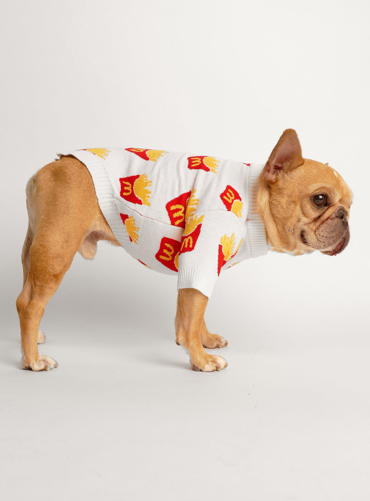 French Fried Dog Sweater