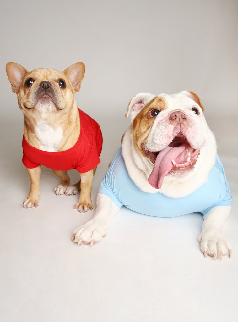 Friendly + Not Friendly (2-Pack) Dog Tee