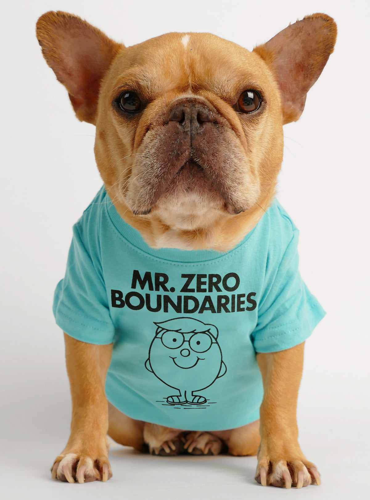 Mr. Zero Boundaries Dog Tee