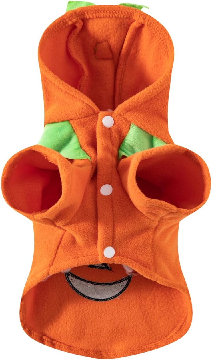 The Jack-O-Lantern Hoodie