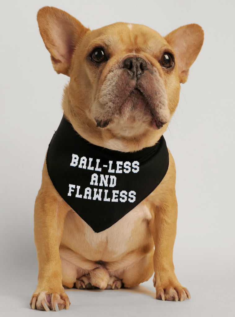 Ball less and flawless cat shirt best sale