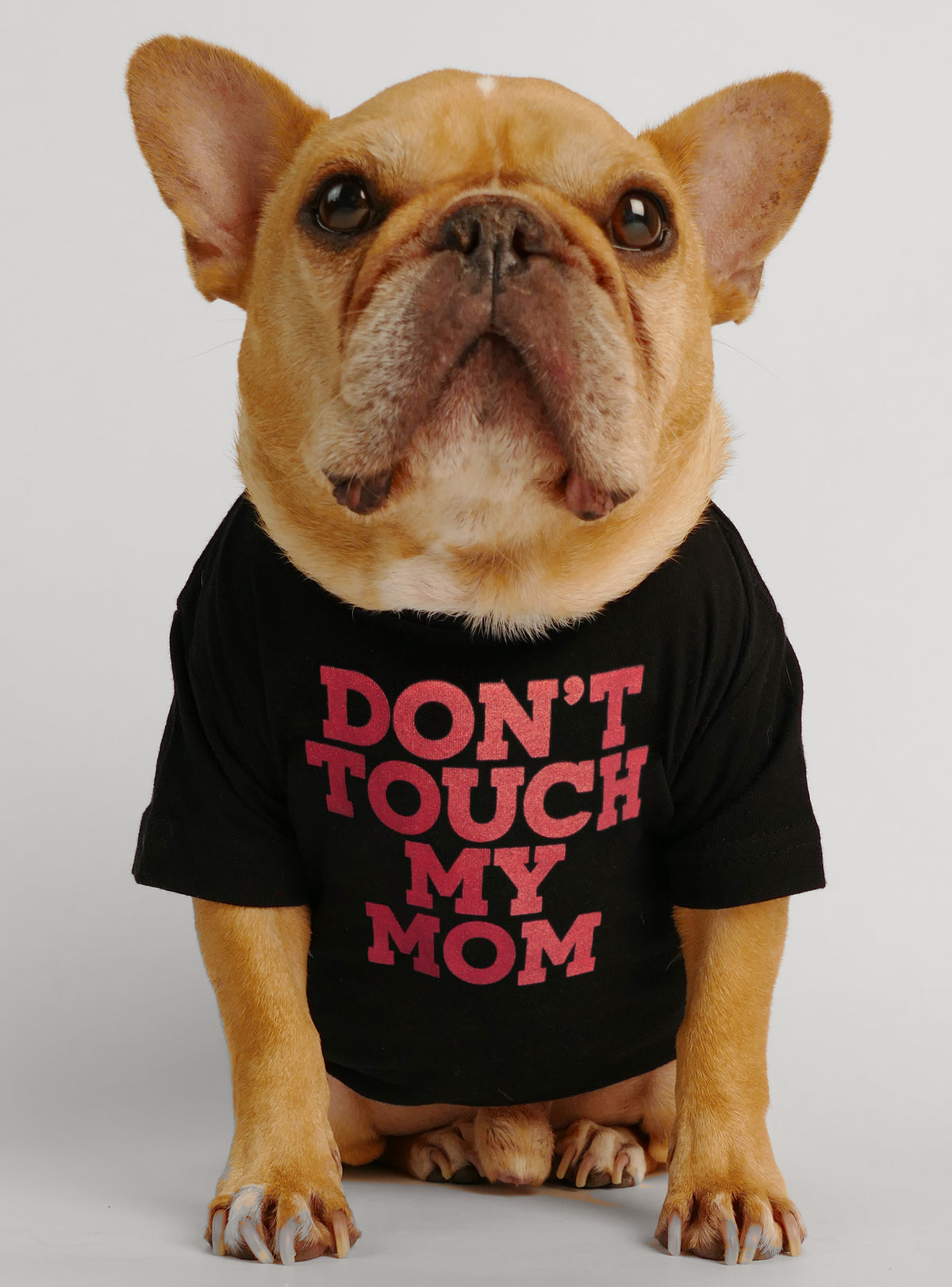 Don&#39;t Touch My Mom Dog Tee