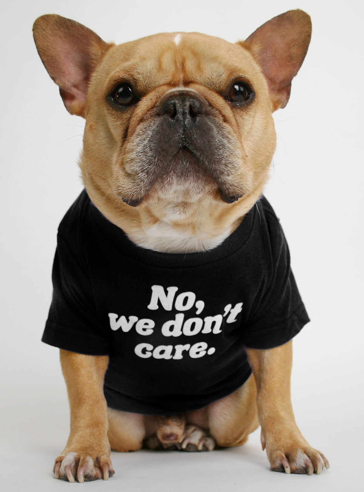 No, We Don&#39;t Care Dog Tee