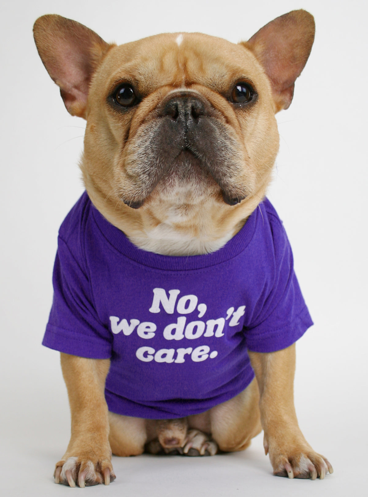 No, We Don’t Care Dog Tee - Club Huey