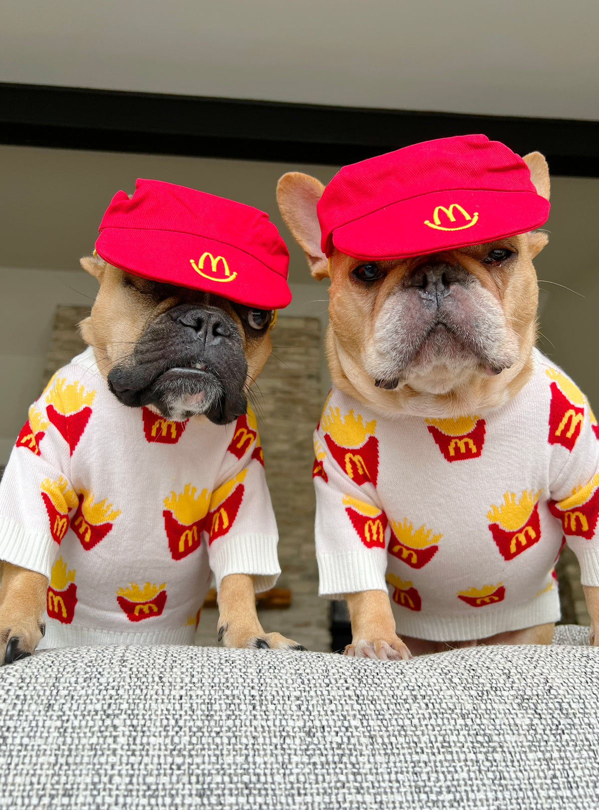 Fast Food Dog Hat