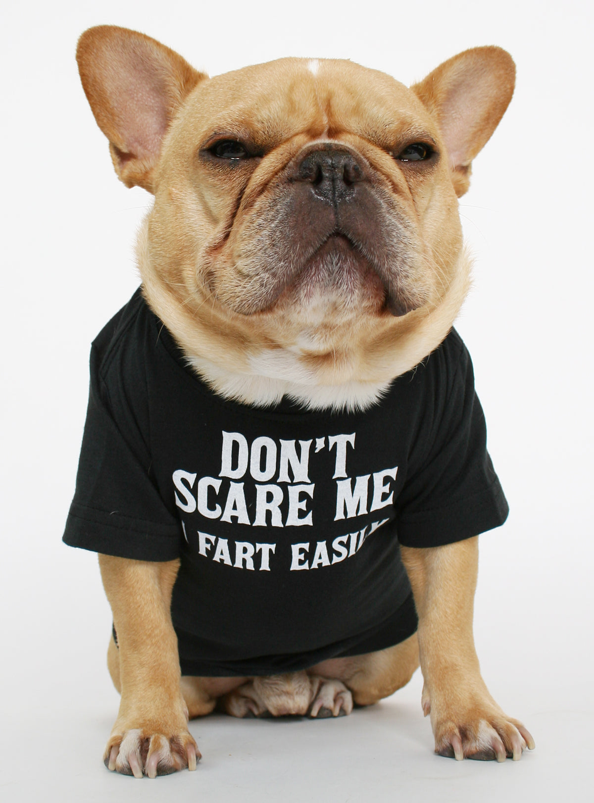 Don&#39;t Scare Me I Fart Easily Dog Tee