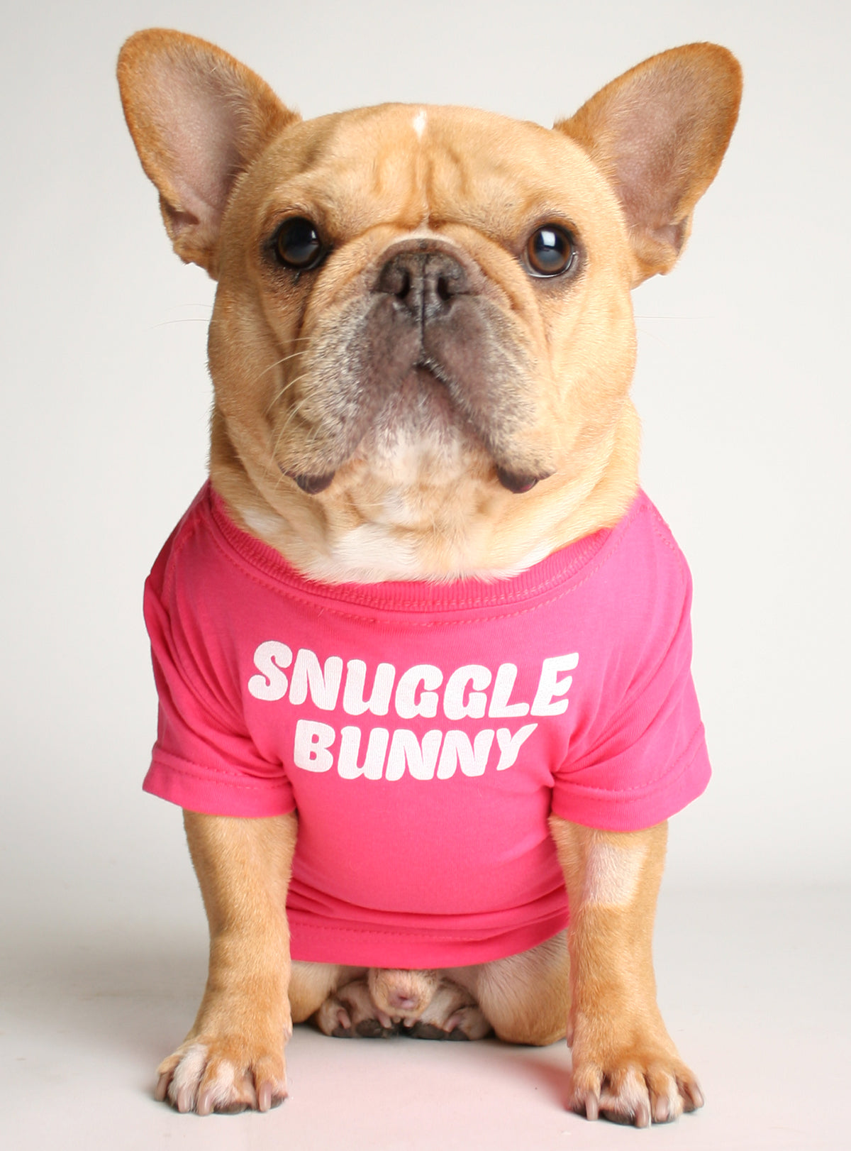 Snuggle Bunny Dog Tee