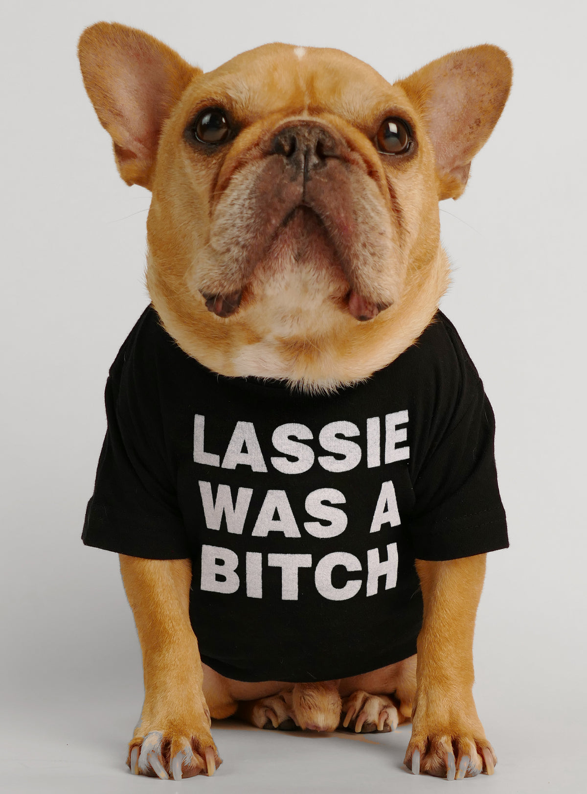 Lassie Was A Bish Dog Tee