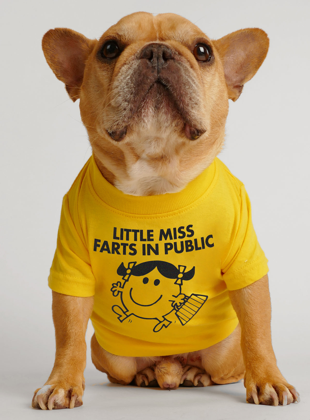 Little Miss Farts In Public Dog Tee