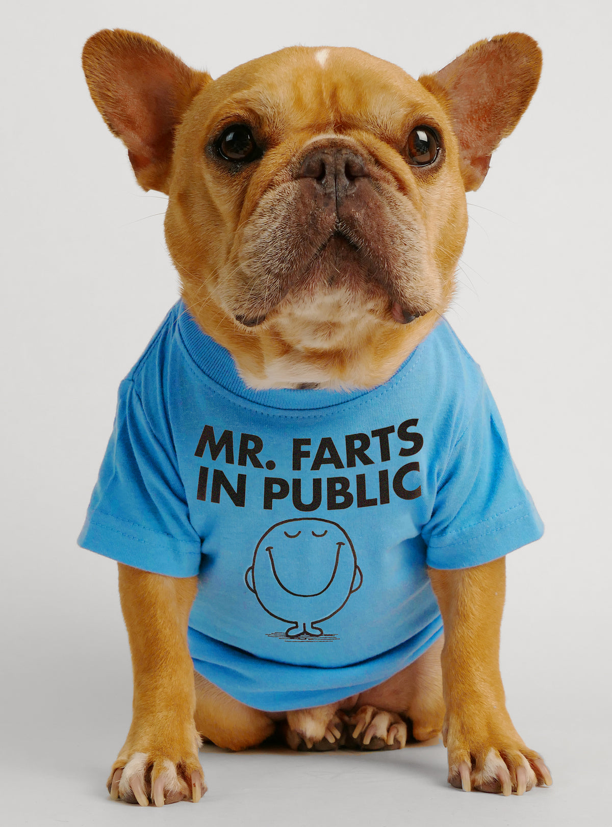 Mr. Farts In Public Dog Tee