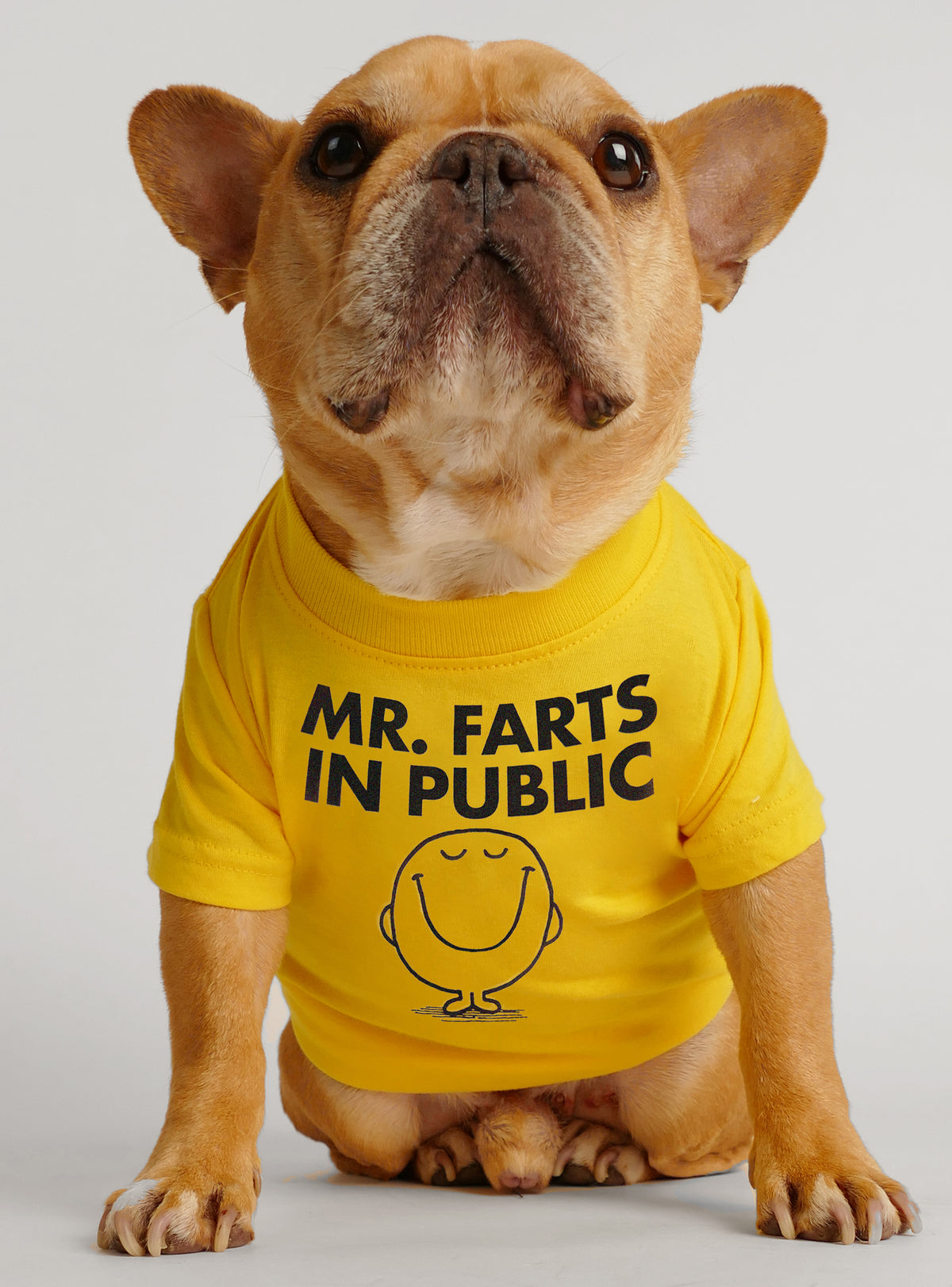 Mr. Farts In Public Dog Tee