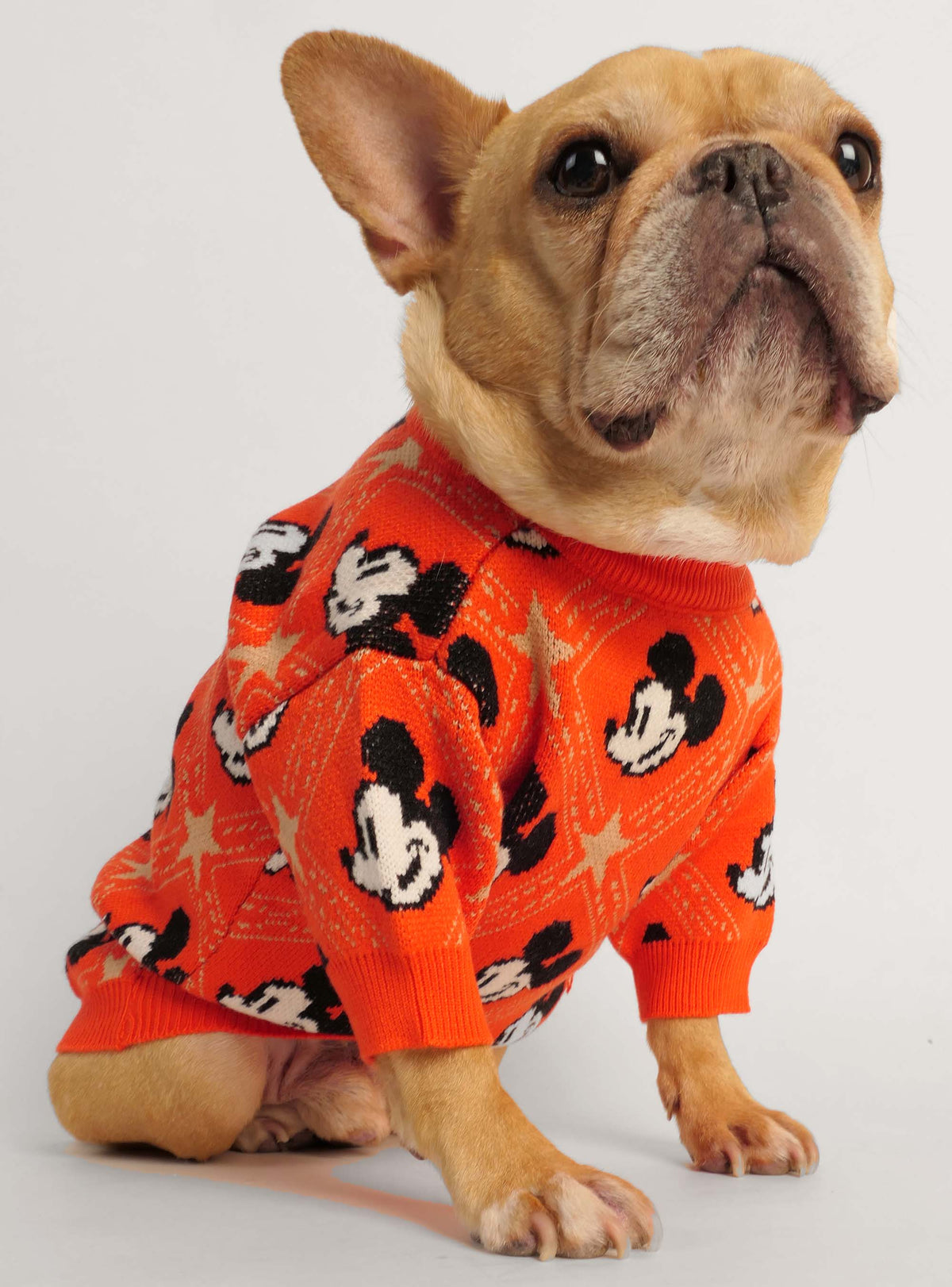 The Mickey Dog Sweater