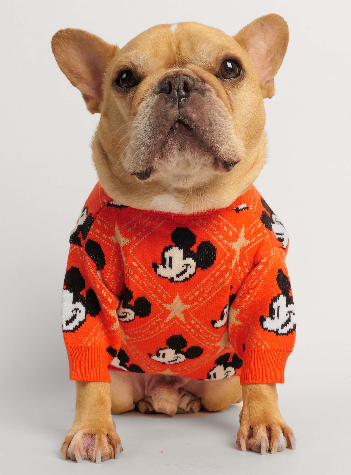 The Mickey Dog Sweater