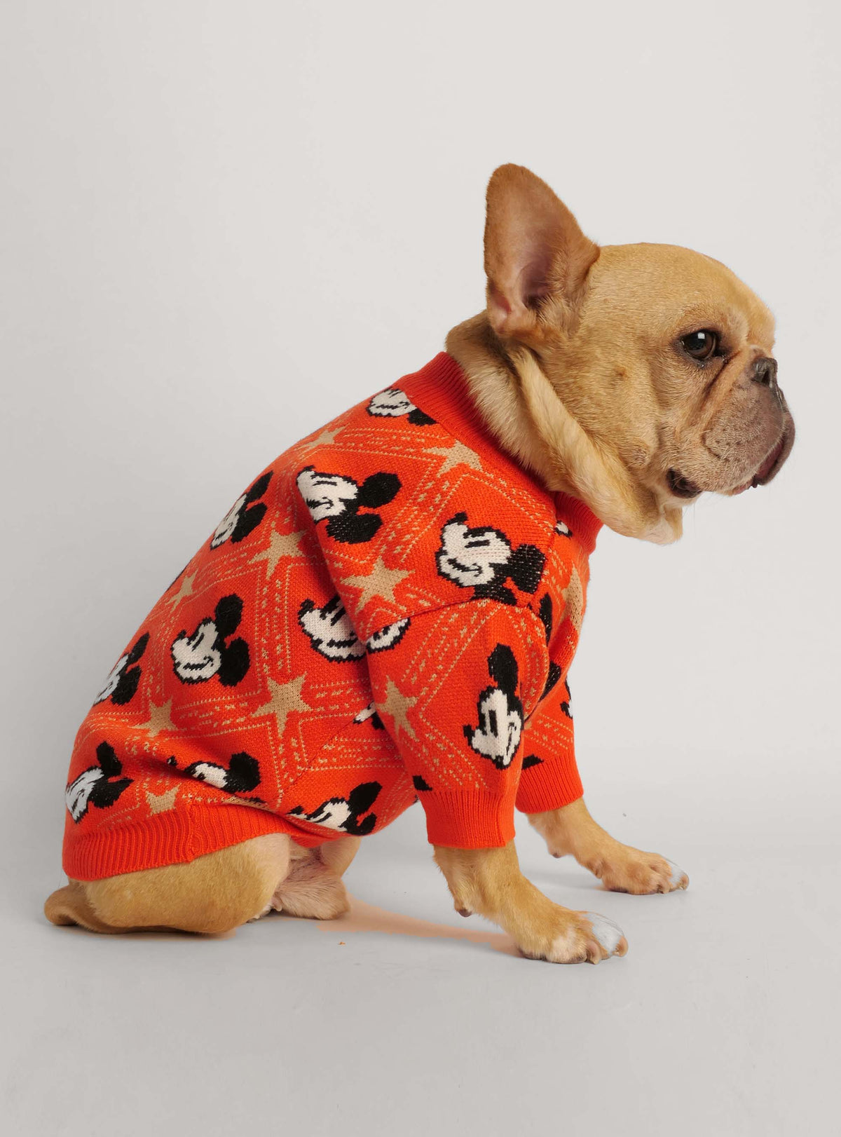 The Mickey Dog Sweater