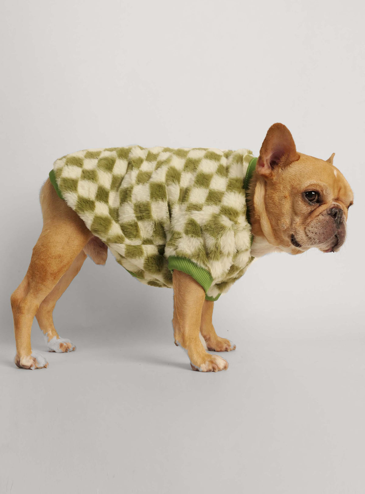 The Mosley Dog Sweater