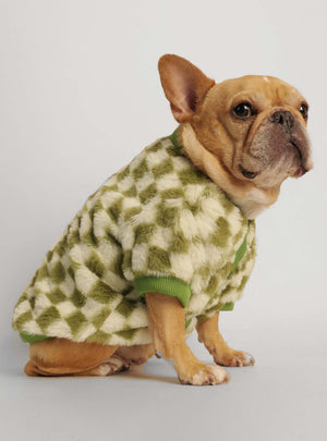 Louie Louie Dog Sweater - Club Huey