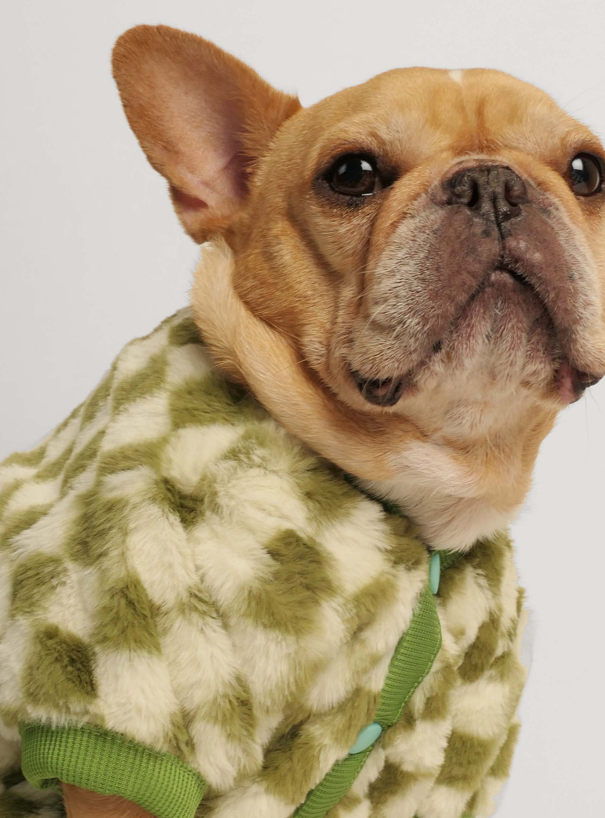 The Mosley Dog Sweater