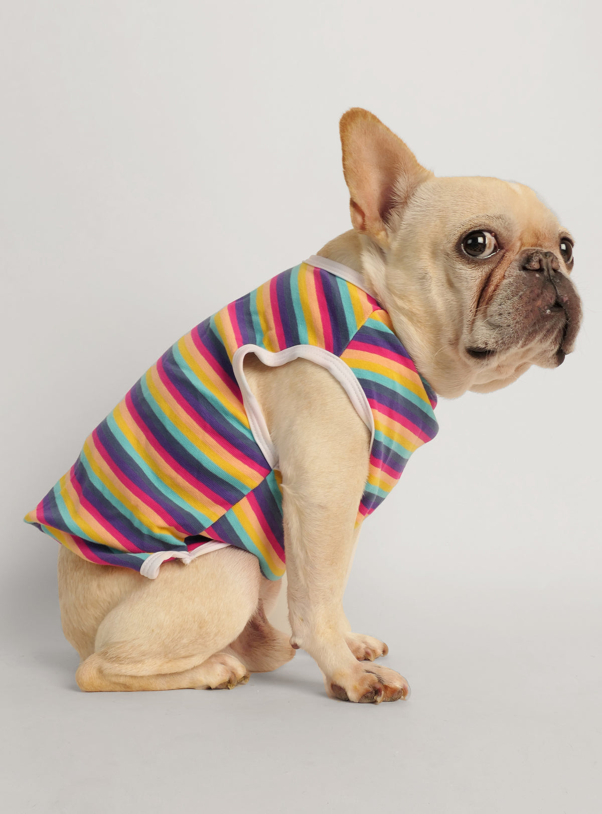 The Tommy Striped Dog Tee