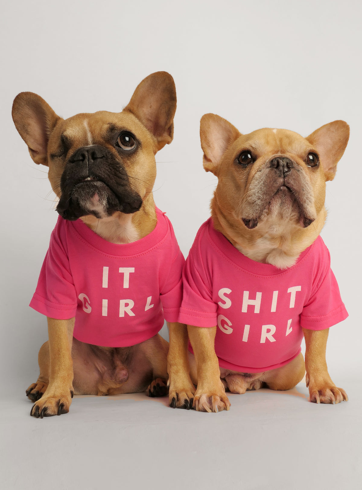 It Girl + Shit Girl (2-Pack) Dog Tee