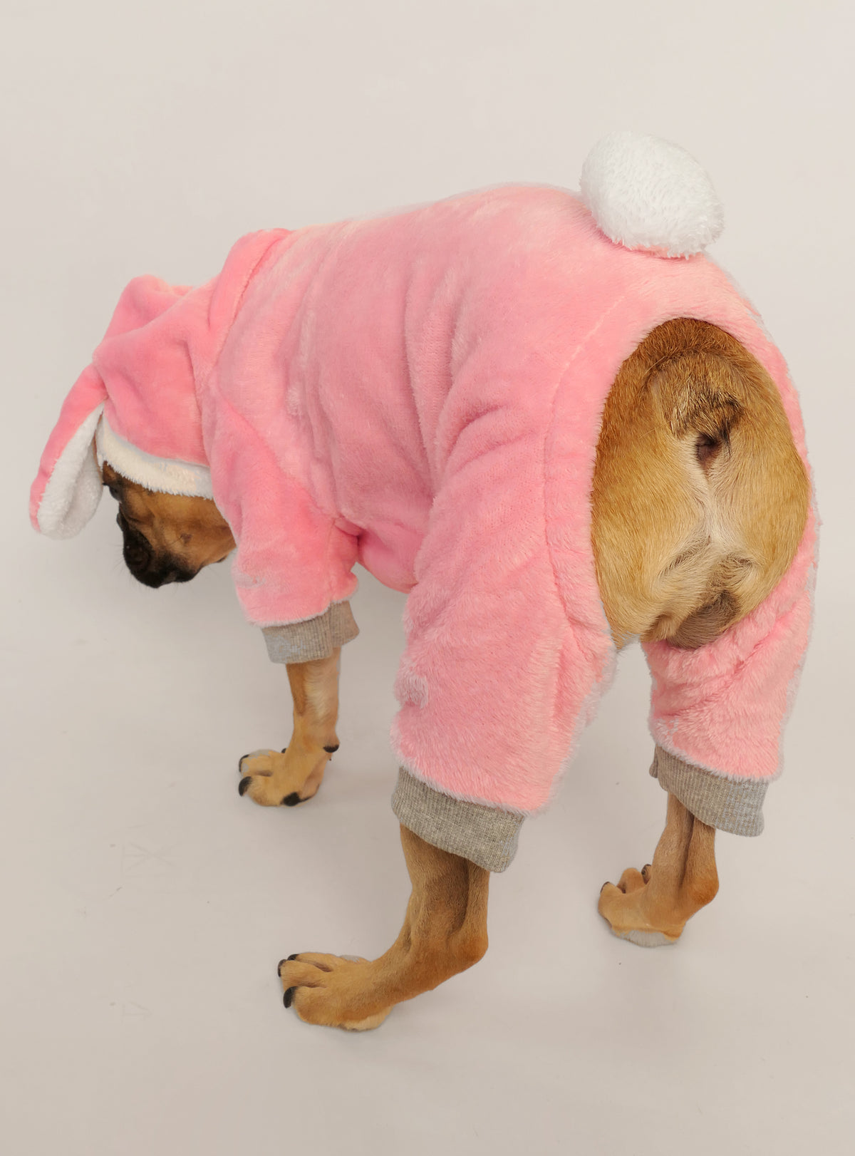 Energizer Bunny Dog Costume