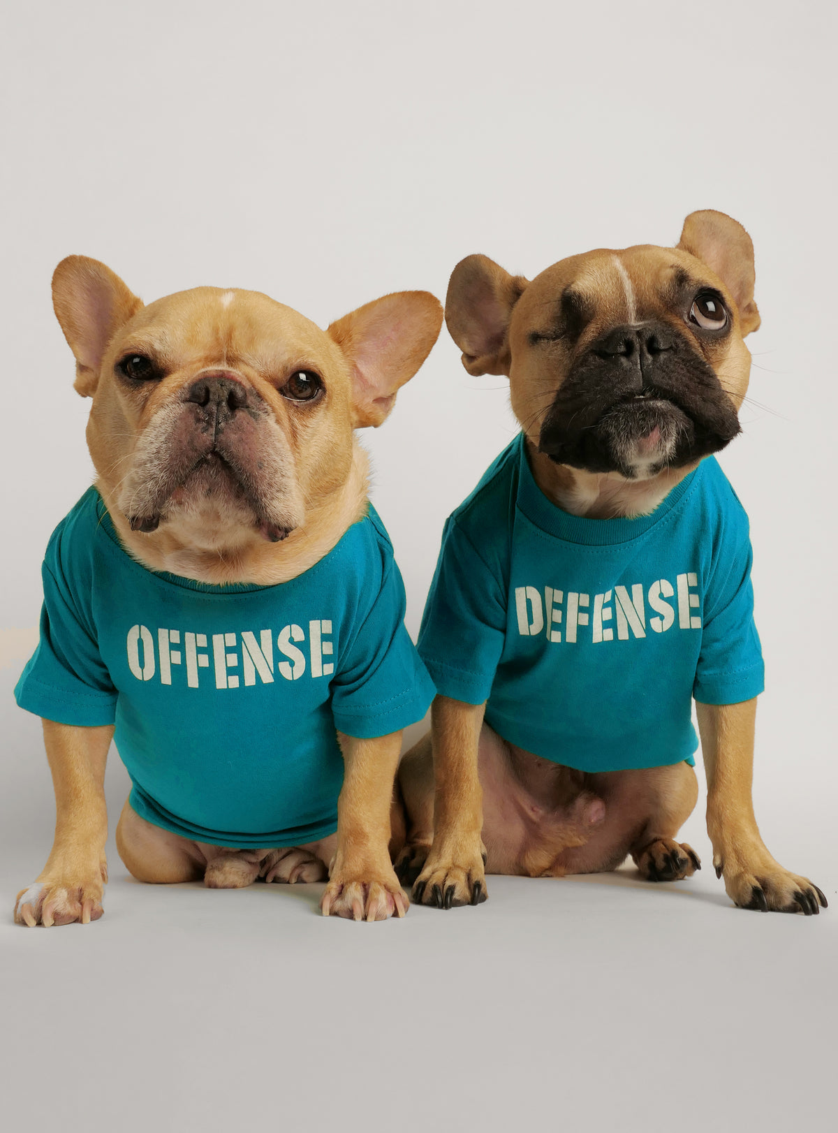 Offense + Defense (2-Pack) Dog Tee