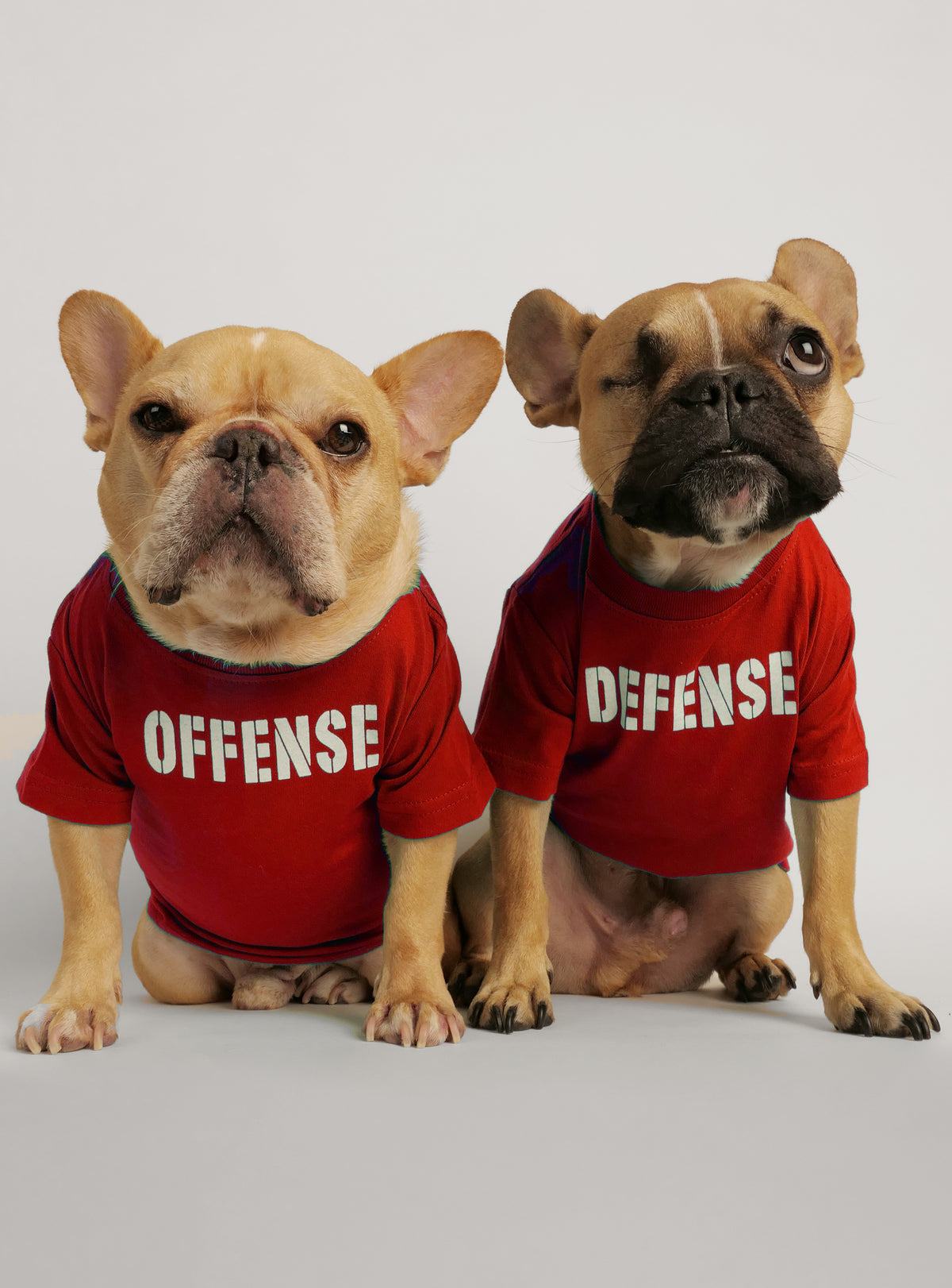 Offense + Defense (2-Pack) Dog Tee
